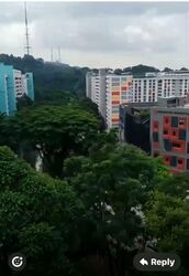Blk 244 Gombak View (Bukit Batok), HDB 3 Rooms #577506901